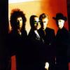 Queenheaven Forum - Guaranteed to blow your mind